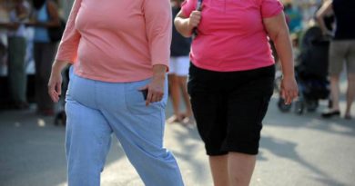 Identifican nueva célula que podría ser usada para combatir la obesidad Identifican nueva célula que podría ser usada para combatir la obesidad